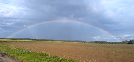 öffnet diesen Regenbogen in groß in einem neuen Fenster